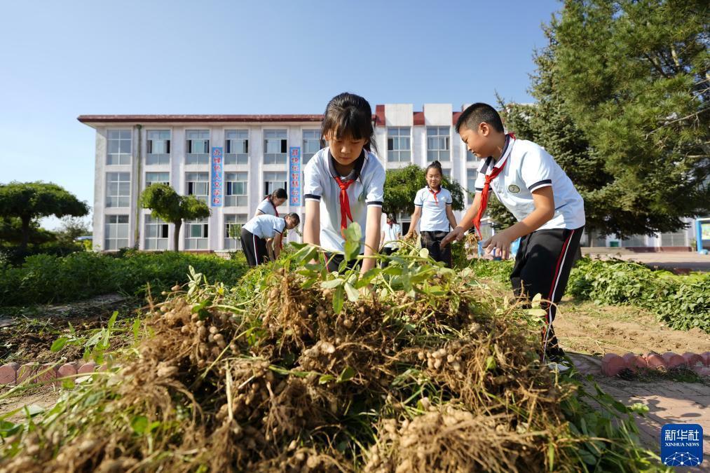 mg投注游戏