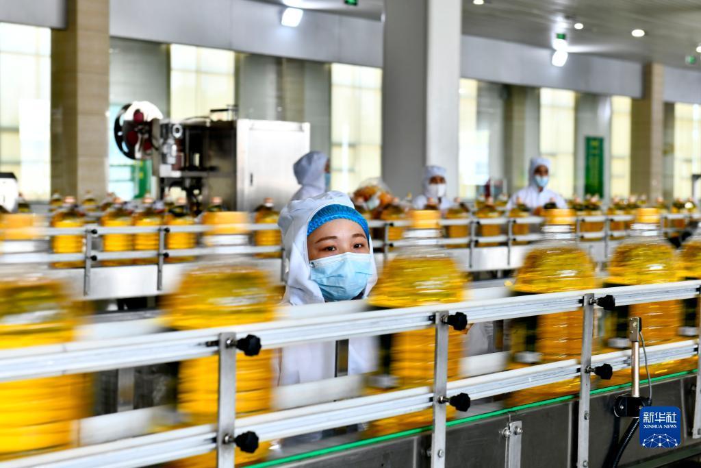 百家楽路单说明